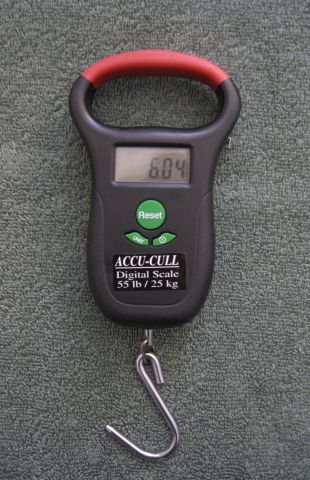 A digital scale with a red handle is sitting on a green carpet.