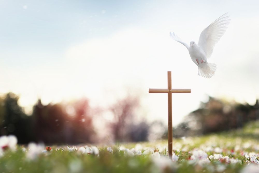 A white dove is flying over a wooden cross in a field of flowers.