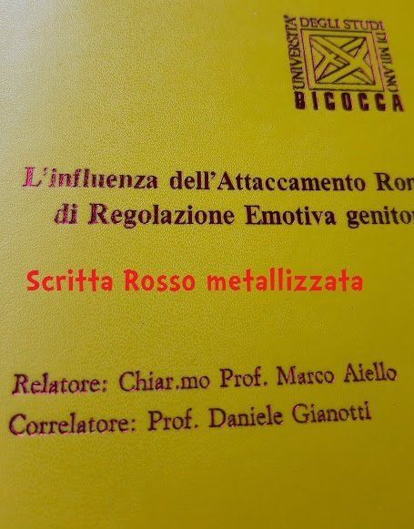 colori frontespizio tesi