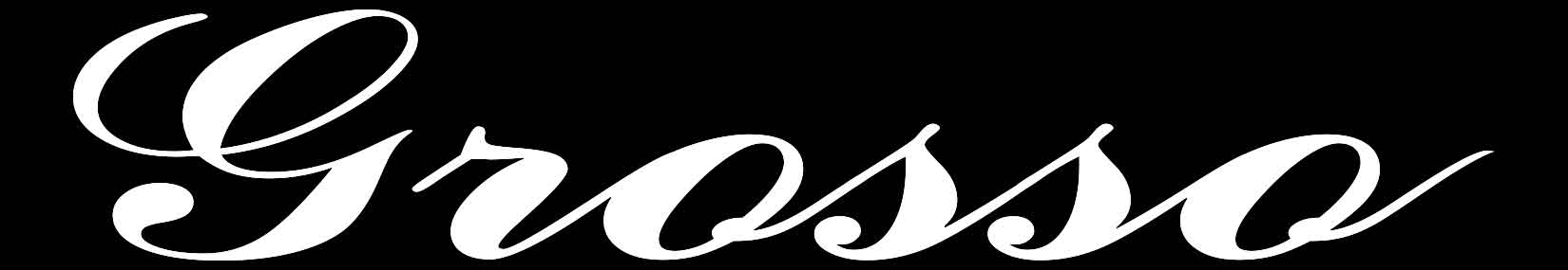 CARAMAGNESE TRASPORTI S.R.L-LOGO