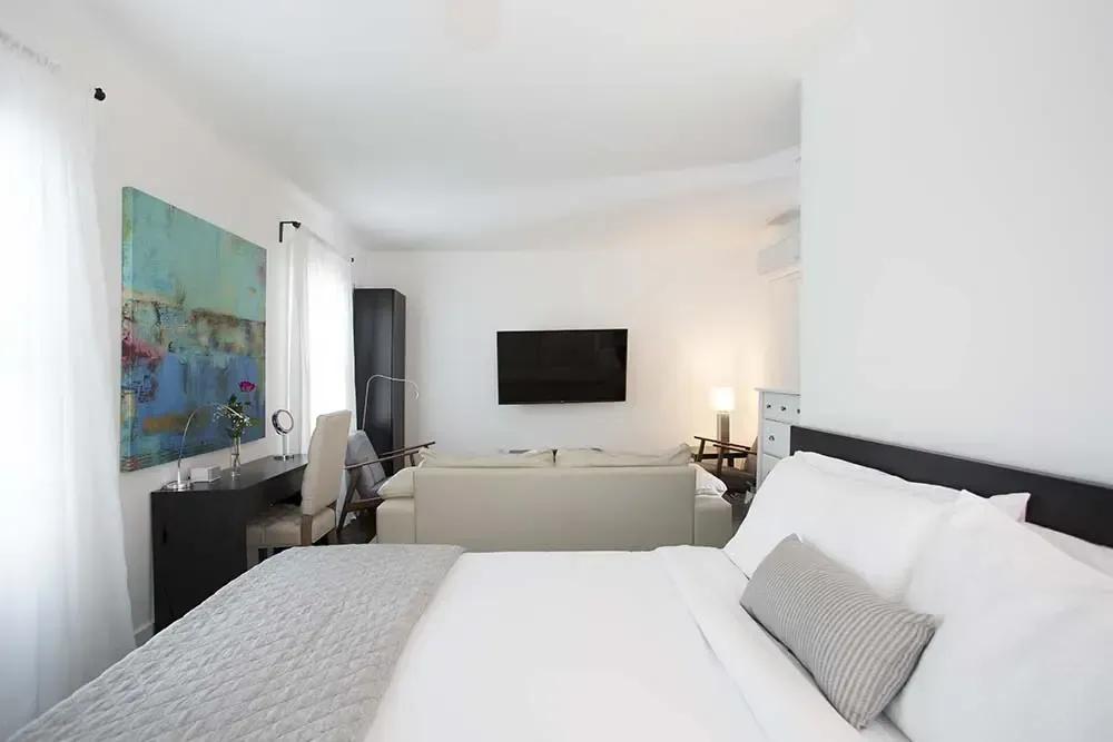 Bedroom and living area with white walls, bed, couch, desk, TV, and abstract art.