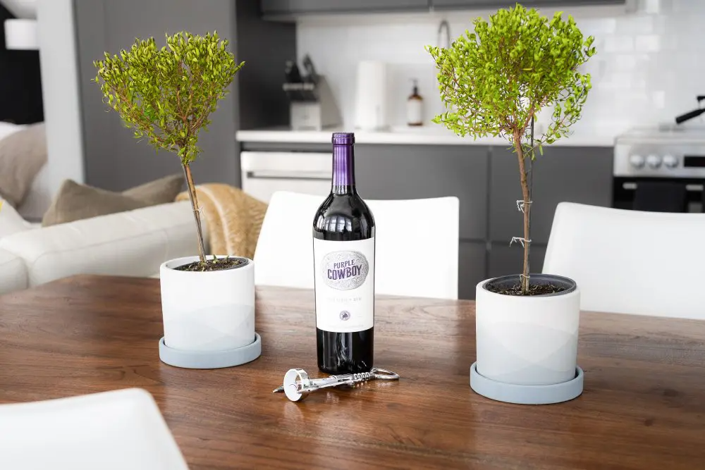 A bottle of wine and a corkscrew on a wooden table, flanked by two small potted trees in a kitchen setting.