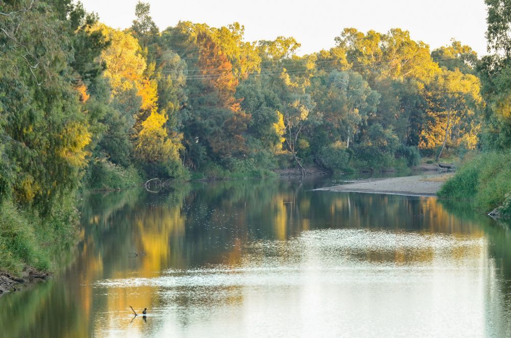 A River with Trees on Both Sides of It and A Boat in The Water — Podium Solar in Narrabri, NSW