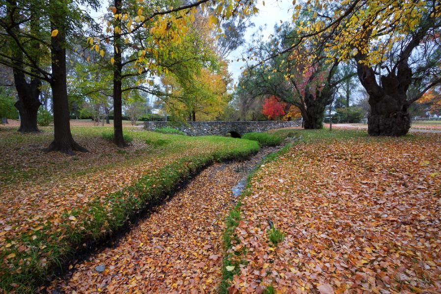 A Stream in A Park Surrounded by Trees and Leaves — Podium Solar in Mudgee, NSW