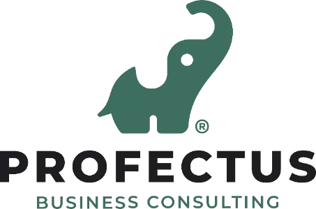 Profectus Business Consulting