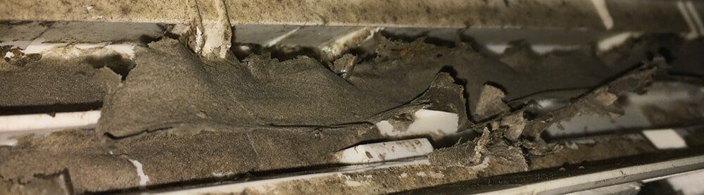 Dried up Biofilm in drainage system