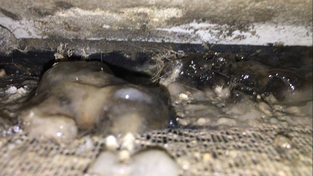 Yucky rear evaporator coil