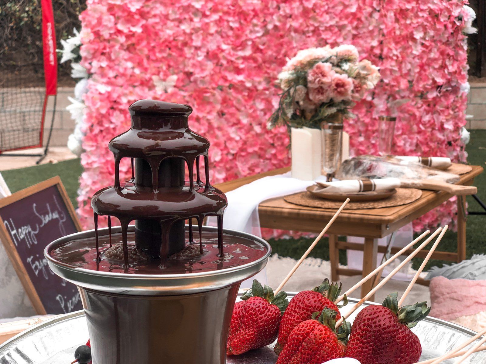 Houston Luxury Picnics, Best Luxury Picnic Houston, TX