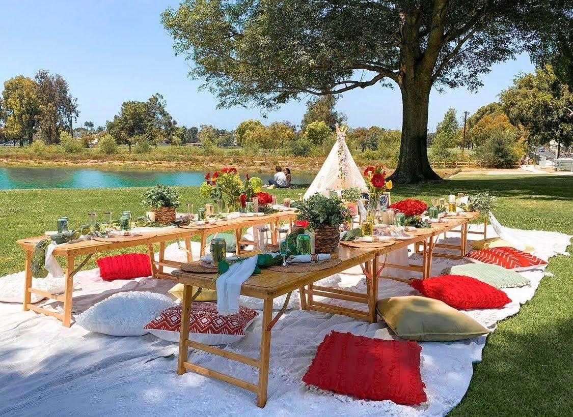 Houston Luxury Picnics, Best Luxury Picnic Houston, TX