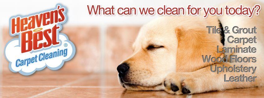 Heaven's Best cleans Carpets and Upholstery, Area Rugs, Hardwoods and Tile