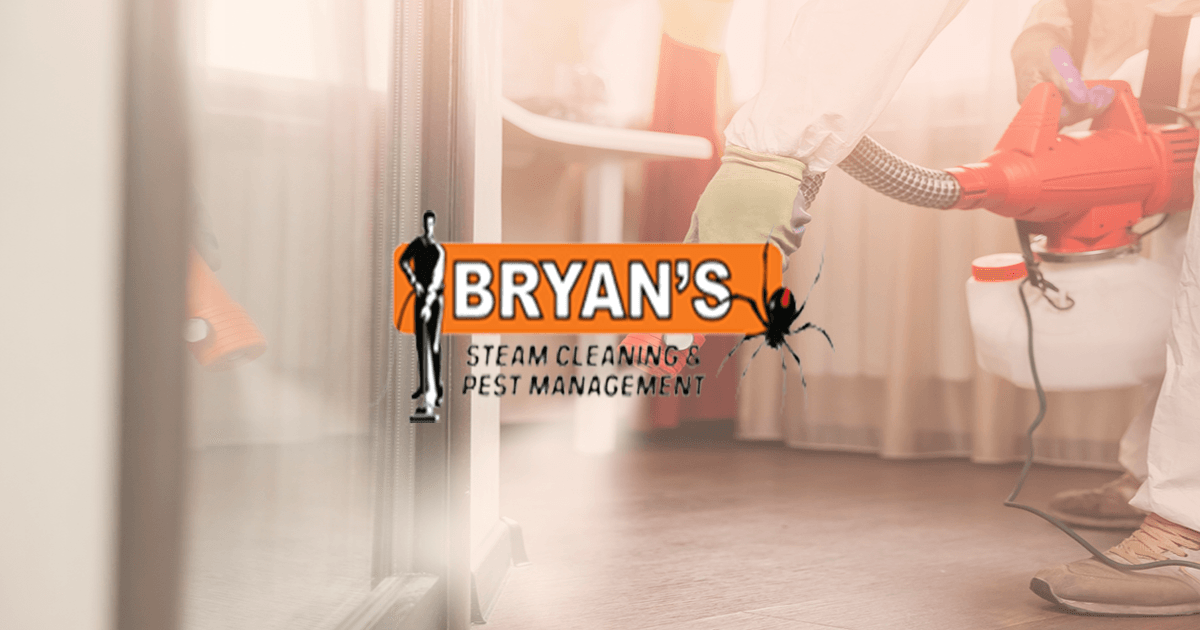 Bryan’s Steam Cleaning & Pest Management Cleaner in Coffs Harbour