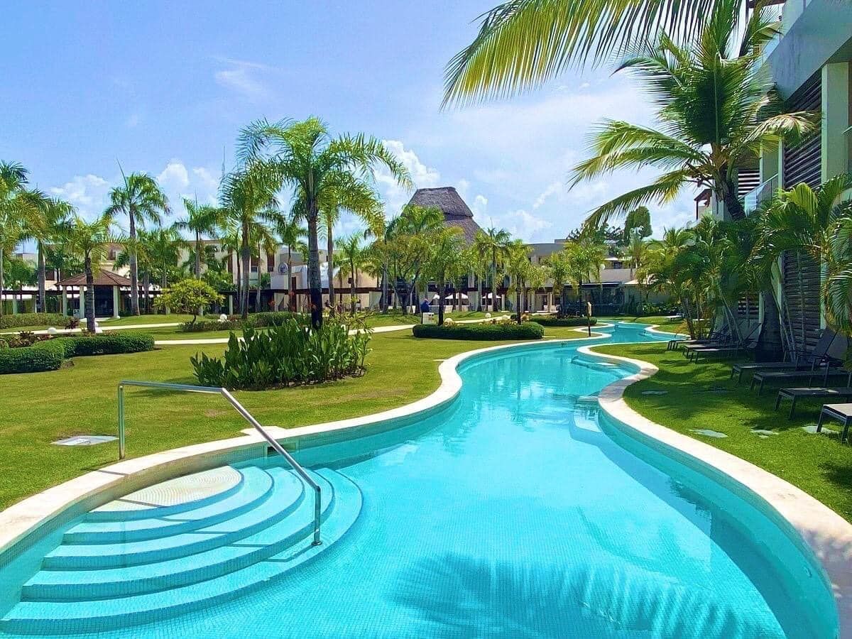 A large swimming pool surrounded by palm trees and grass