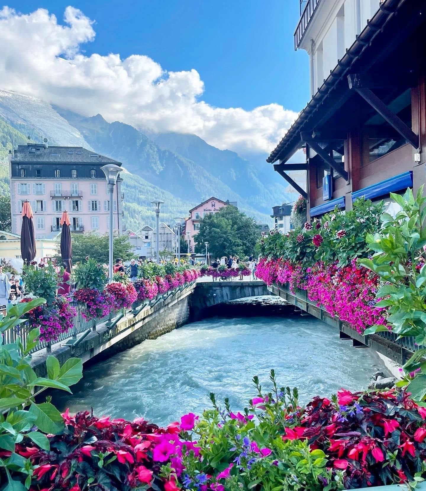 A bridge over a river surrounded by flowers with mountains in the background
