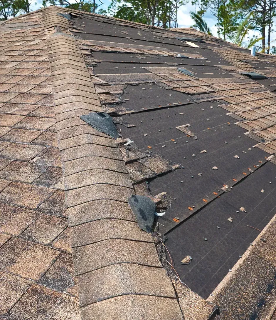 A roof with a lot of shingles that are missing