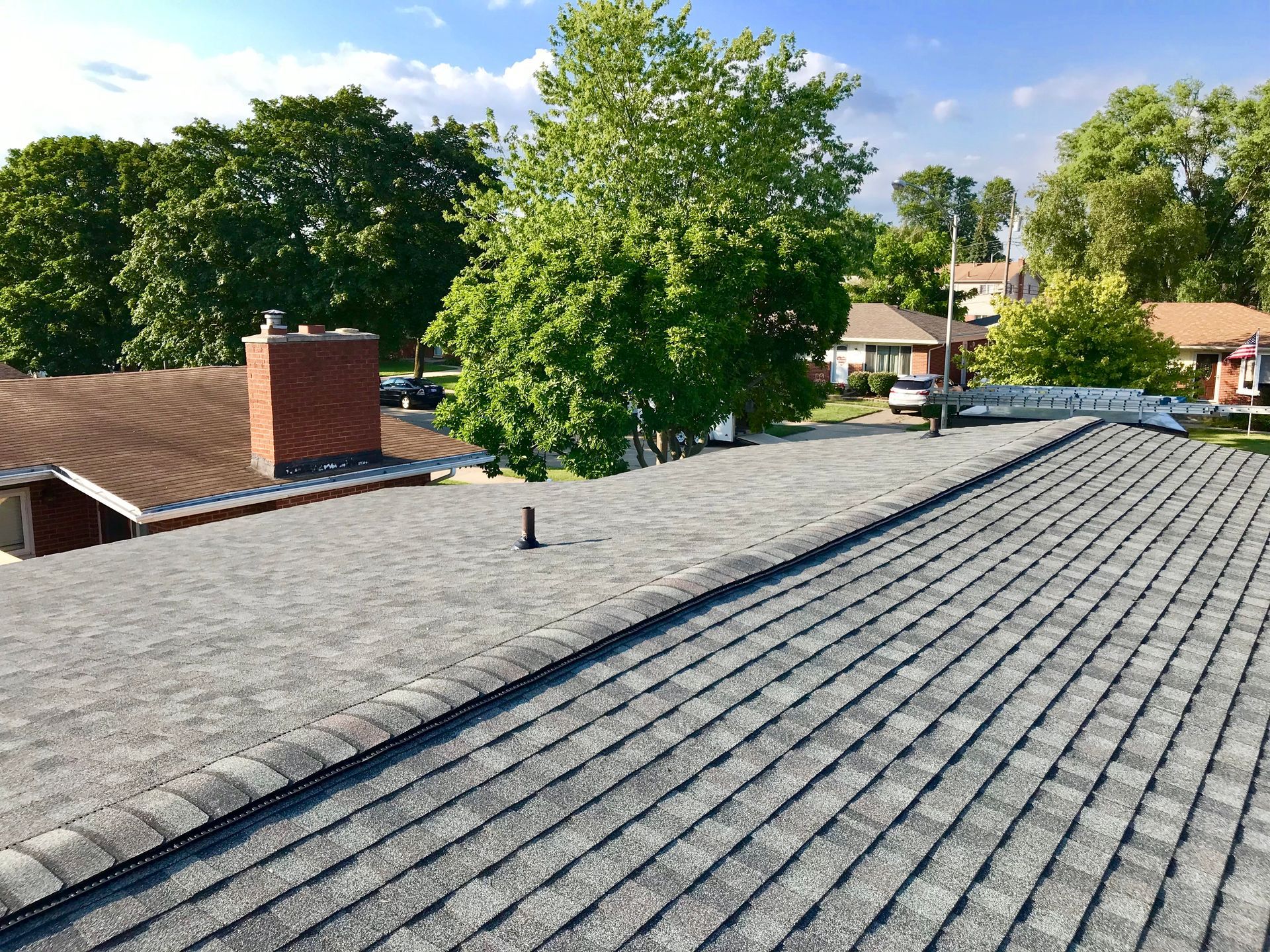 Roofs of houses with asphalt shingles. Green trees and blue sky in background.