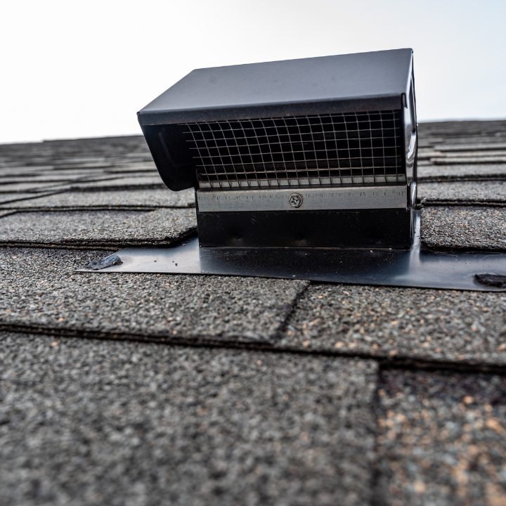 Black roof vent with mesh screen on a gray shingle roof.