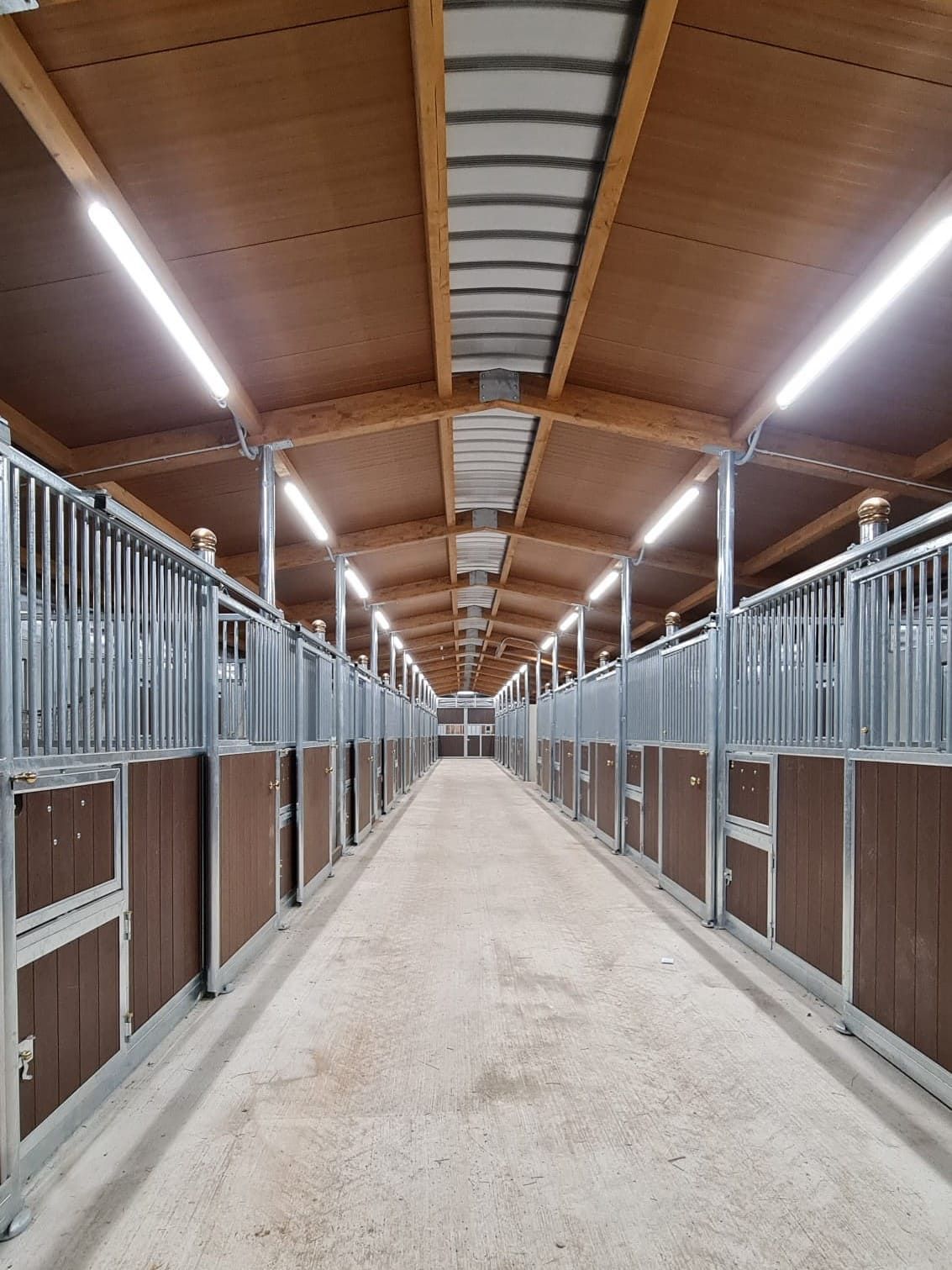 Interno scuderia zincata con tamponamenti in plastica marrone e copertura con pannello coibentato effetto legno