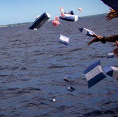 A group of people are throwing flags into the ocean.
