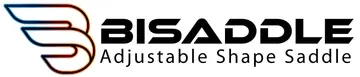 Bisaddle