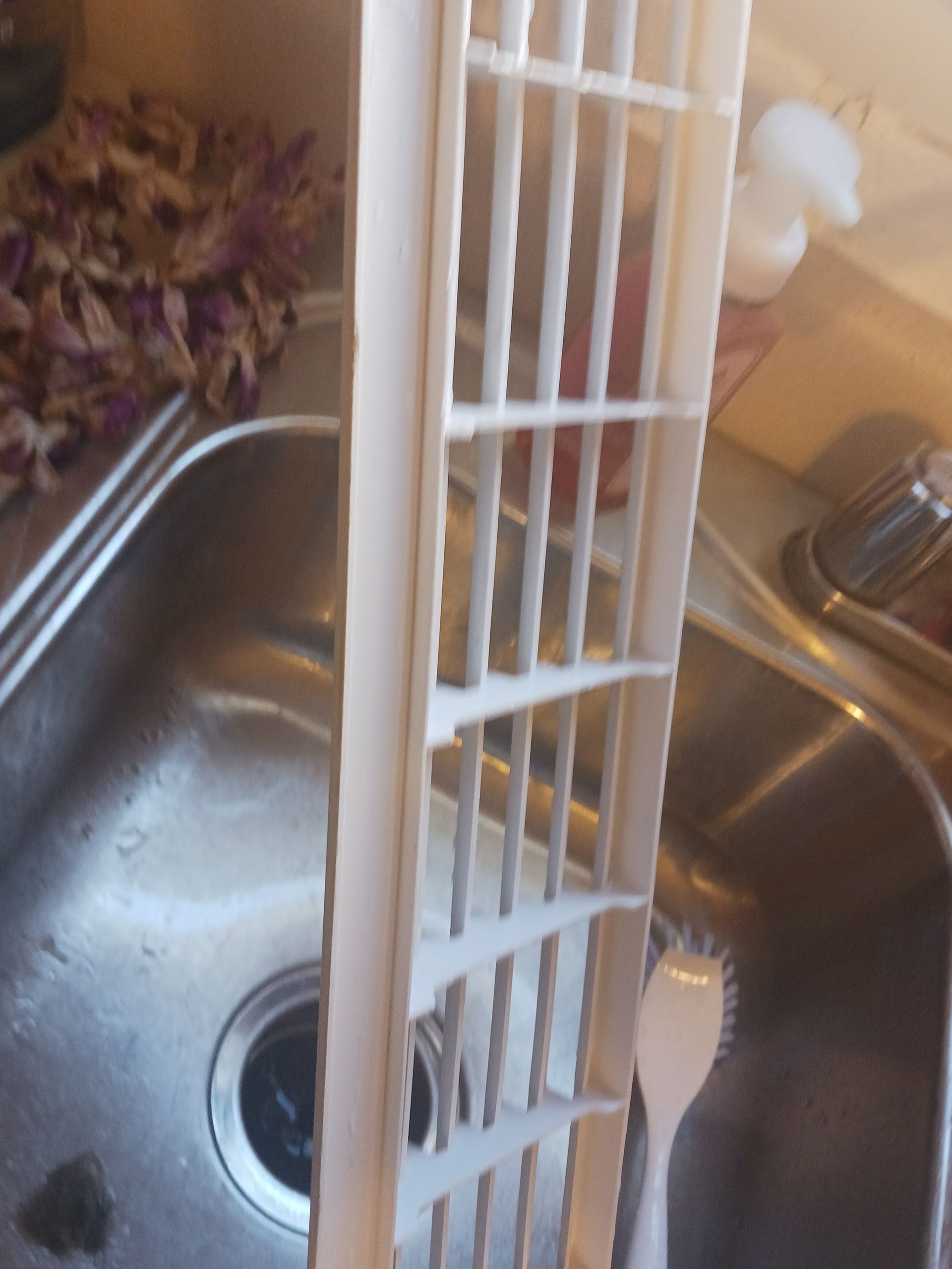 White plastic refrigerator shelf over a stainless steel sink, near a scrub brush.