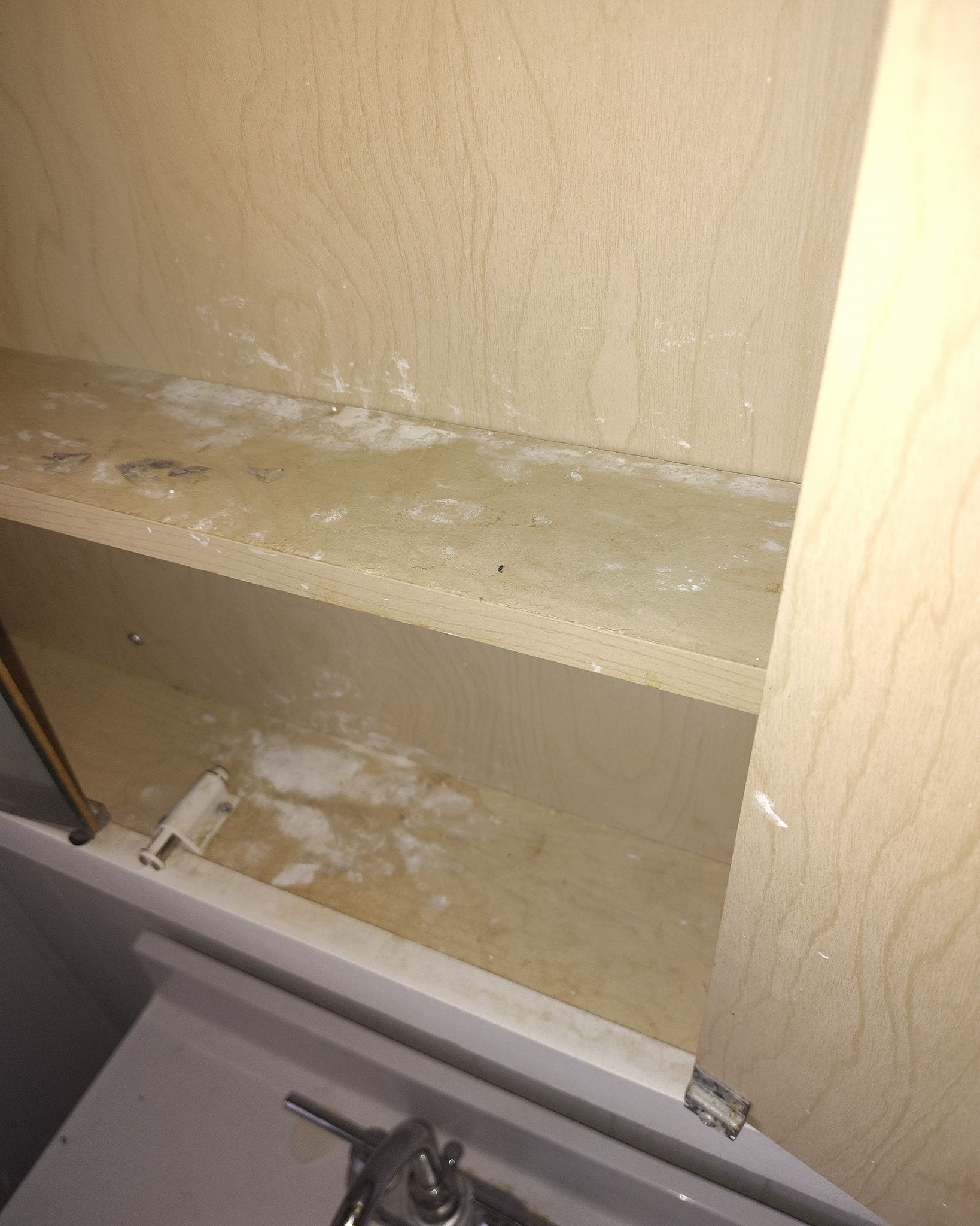 Interior of a wooden cabinet with white mold on the shelves and back.