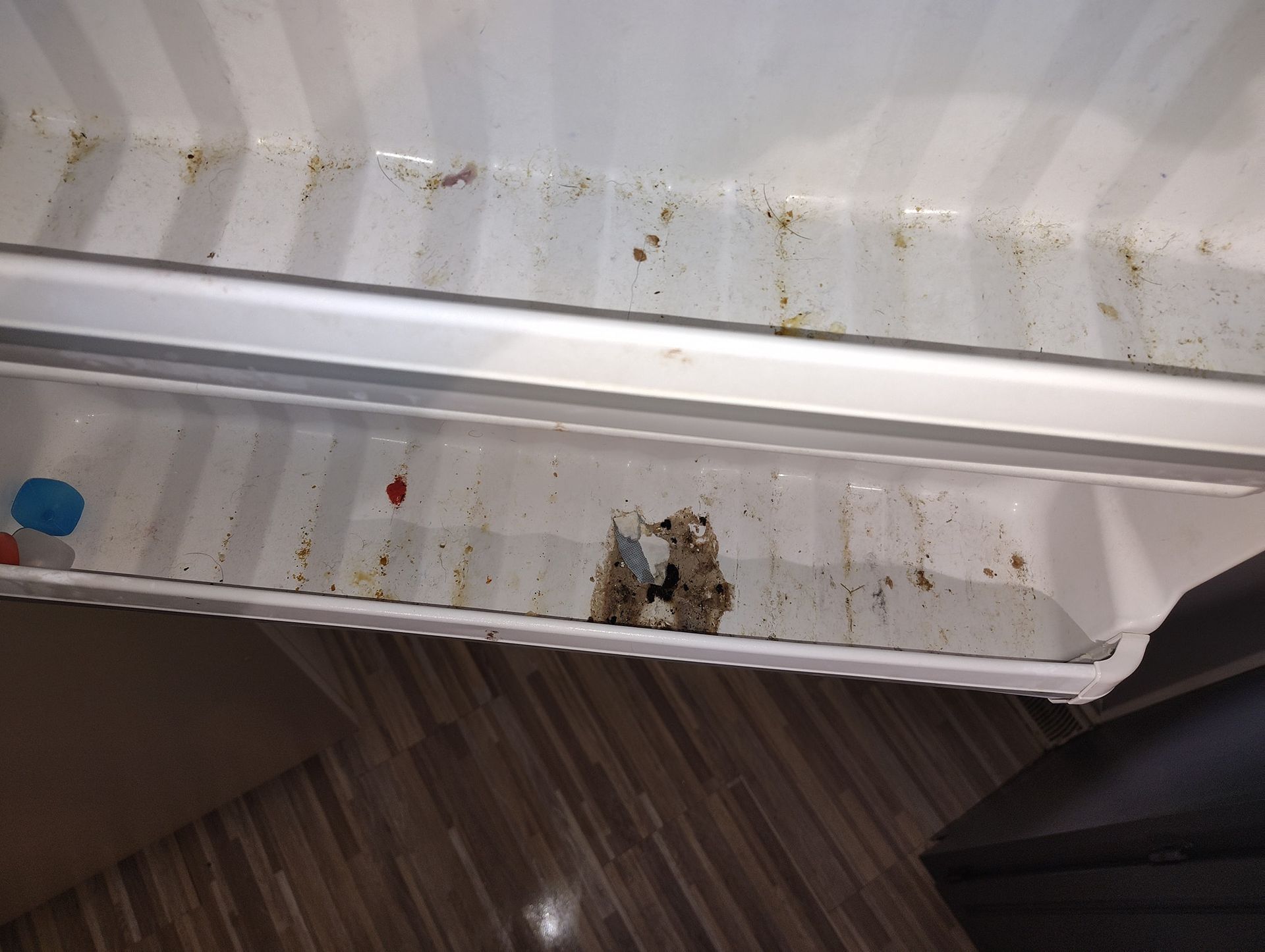 Close-up of a dirty refrigerator shelf with food debris and discoloration.