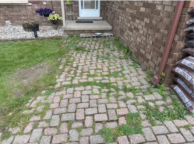 A brick walkway leading to the front door of a house.