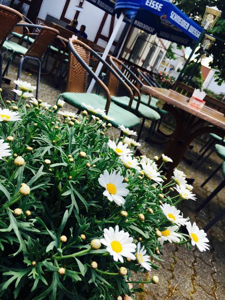 Terrasse mit Blumen