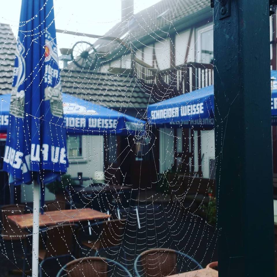 Blick auf das Restaurant