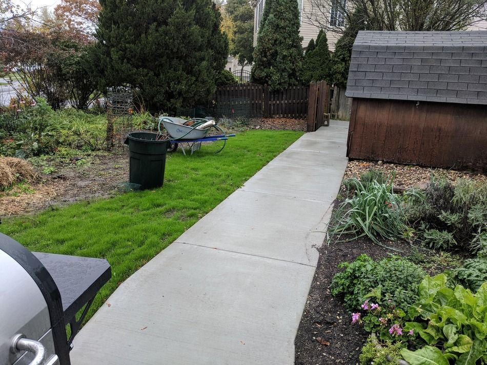 A backyard with a concrete path, green lawn, a black trash can, and a wooden shed.