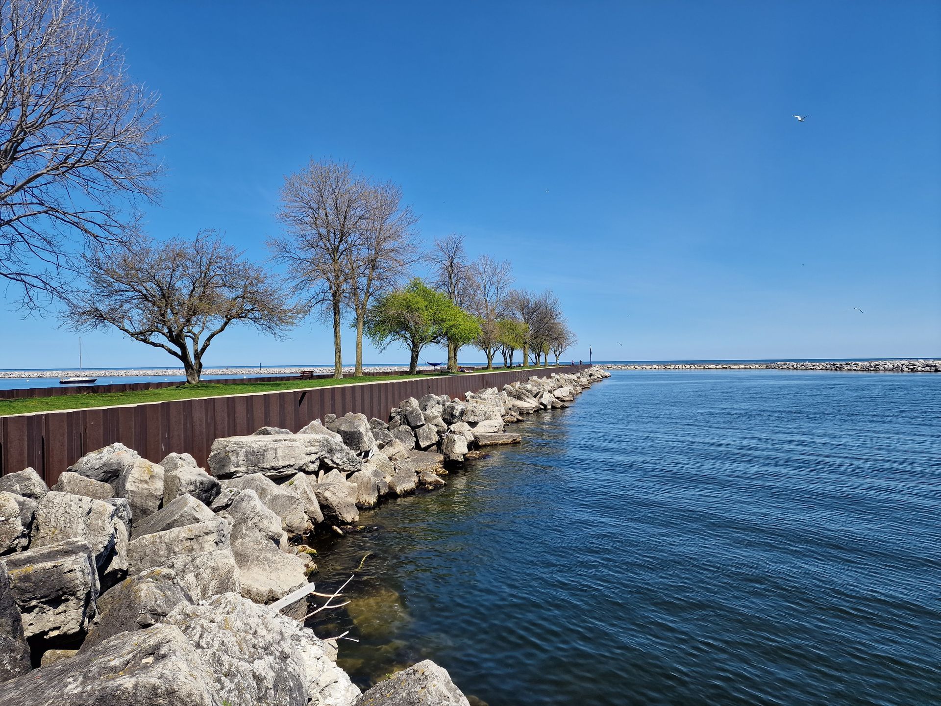 A lakeside scene featuring a rocky shoreline with large gray stones and a row of trees.
