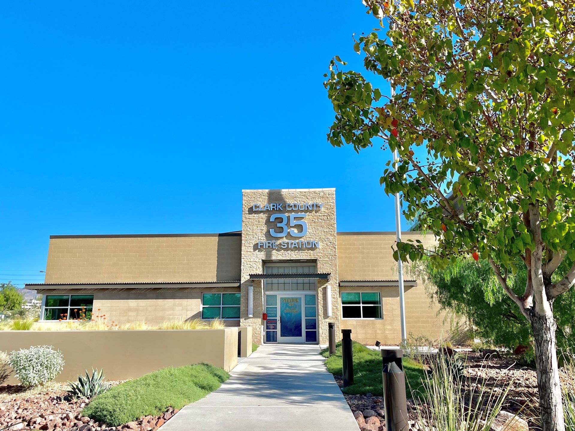 A large building with a walkway leading to it and a tree in front of it.