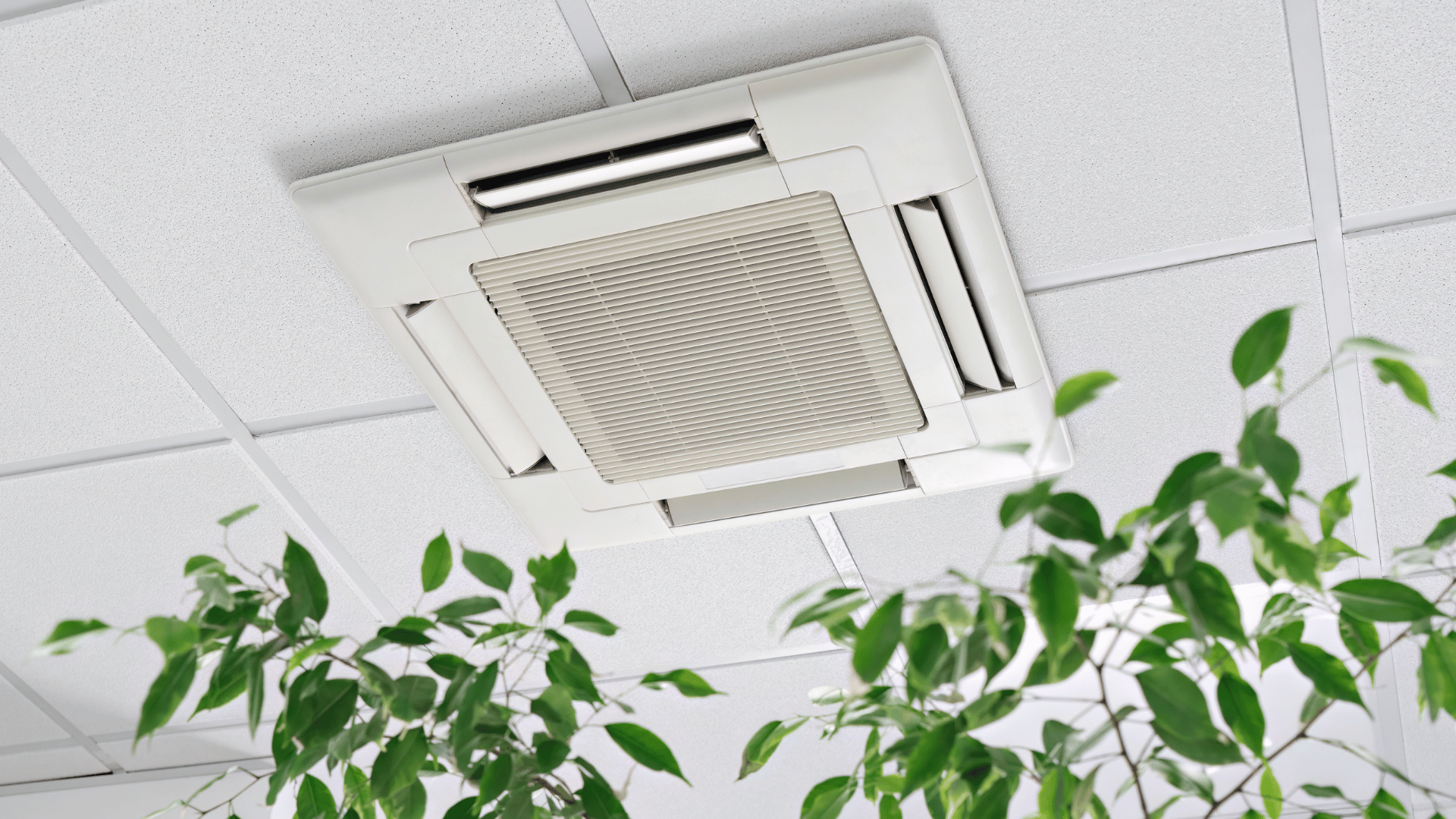A ceiling fan is hanging from the ceiling next to a plant.