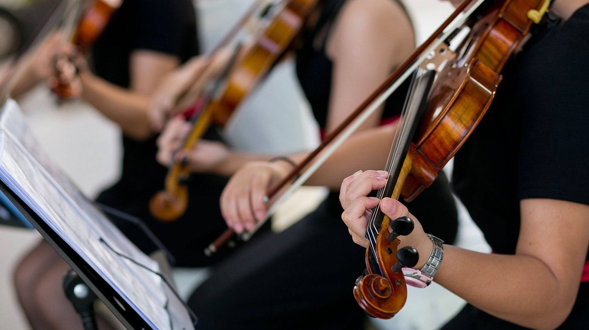 A group of people are playing violins in an orchestra.