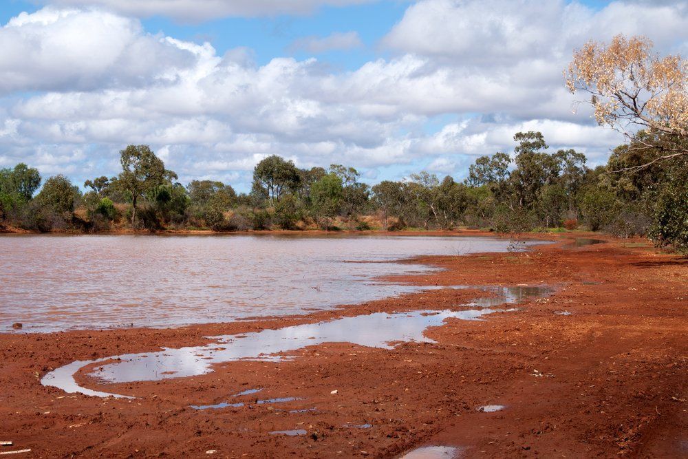 Large Body of Water Surrounded by Dirt and Trees — Boland Contracting in Wellington, NSW