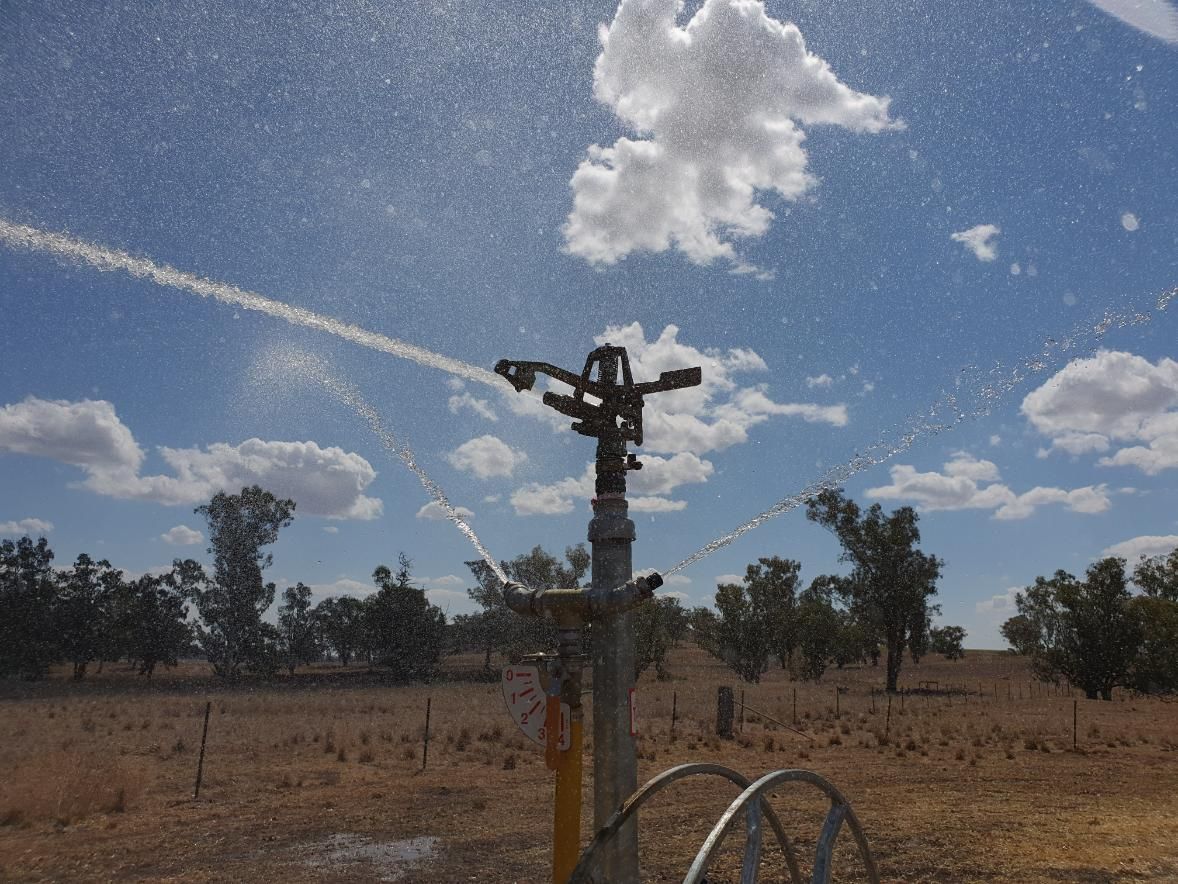 Sprinkler Spraying Water in a Field With Trees — Peel Irrigation & Water Supplies in Gunnedah, NSW
