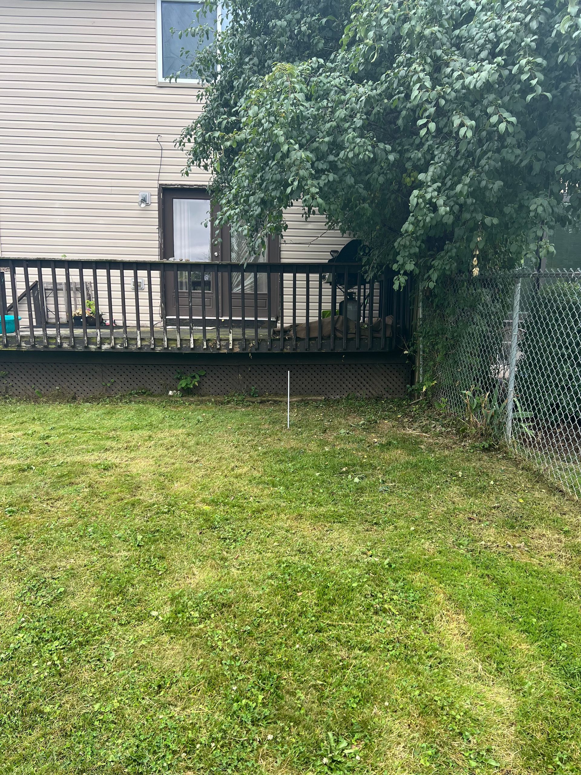 A backyard with a chain link fence and a house in the background.