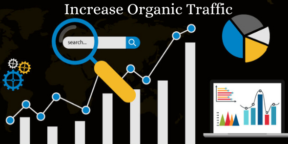 increase organic traffic bar graph