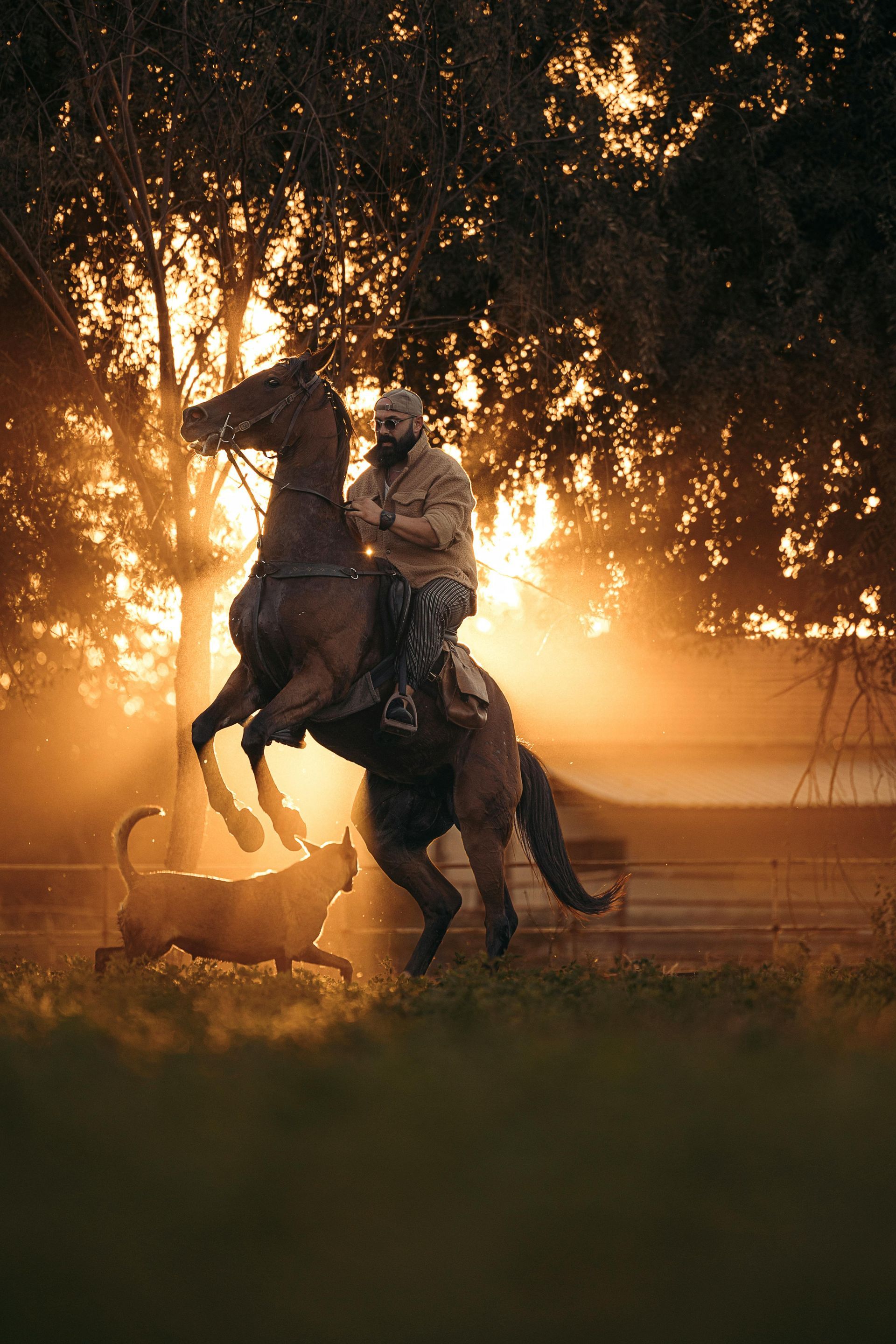 A man is riding a horse with a dog behind him.