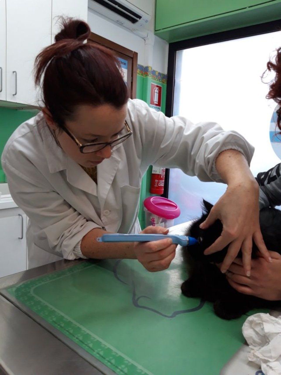 controllo oculistico gatto