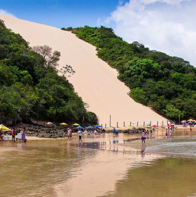 Wish Natal