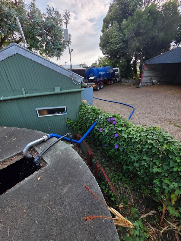 Backyard with green shed, blue hose, gravel path, and trailer near trees and flowers