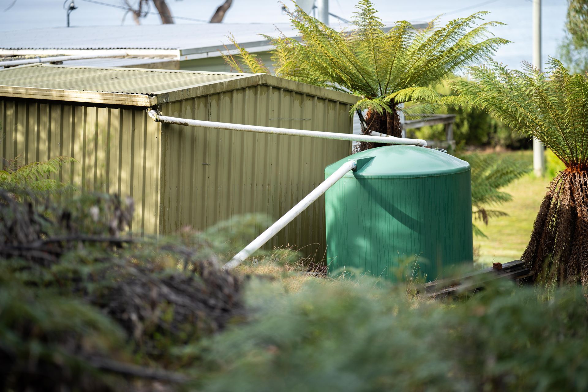 Green water tank beside a weathered shed in a grassy backyard, with white pipes extending across the scene