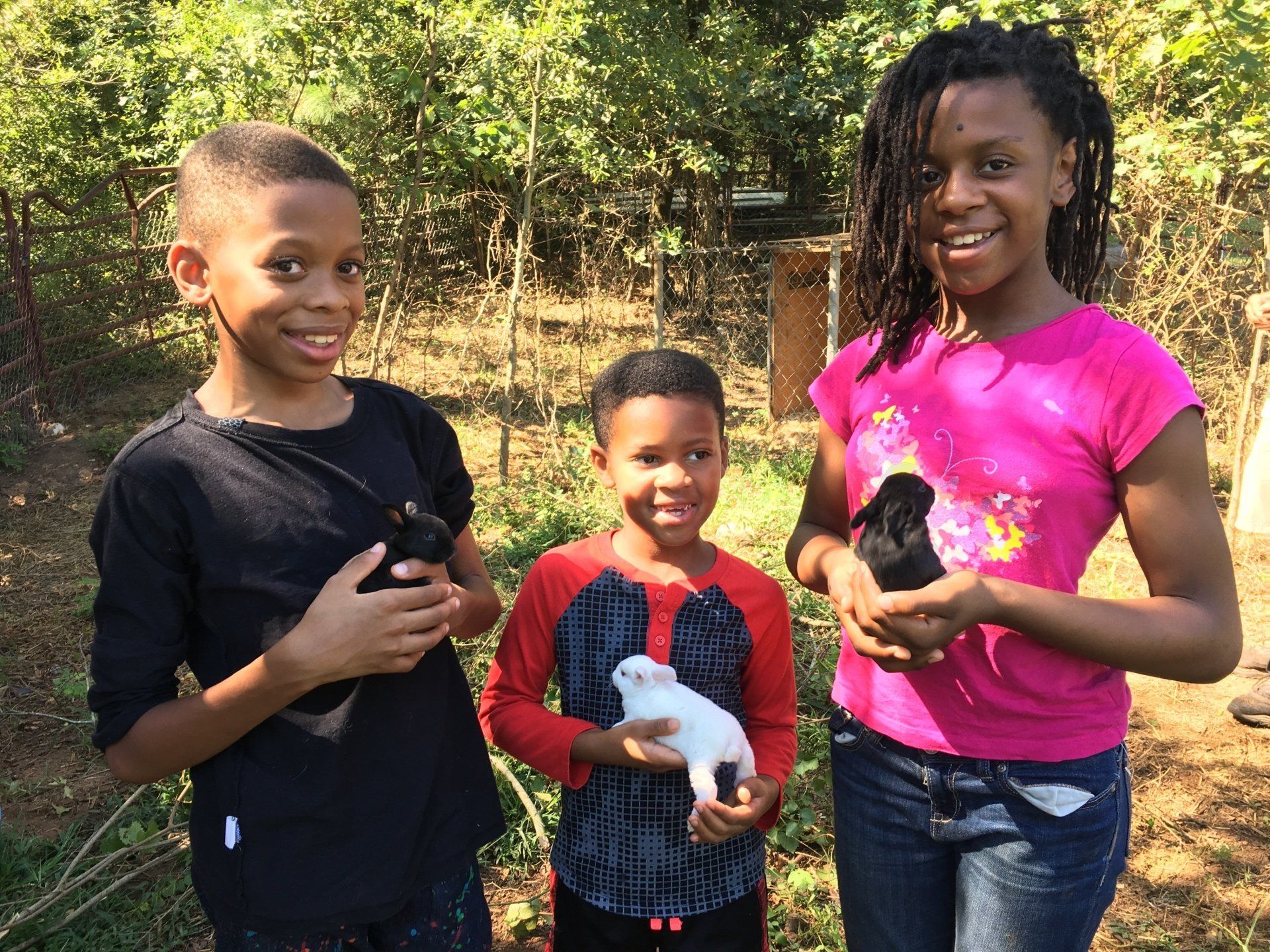 Foxfire Wood and Farm in Nicholson, Georgia