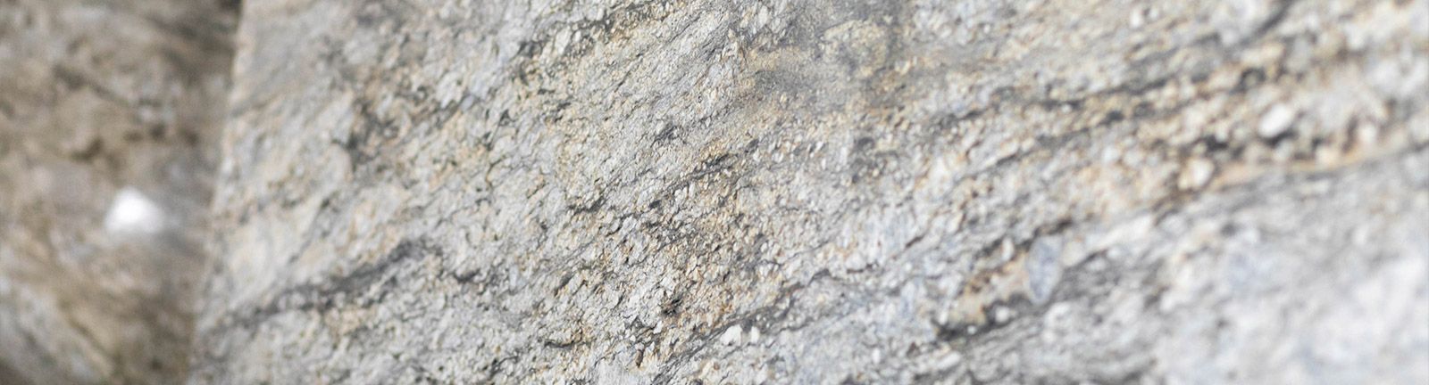 Close-up of a weathered, textured surface with gray and beige tones and dark, meandering veins.