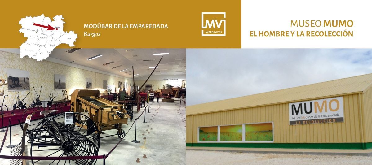 OFERTA CULTURAL PARA AFILIADOS DE SOI