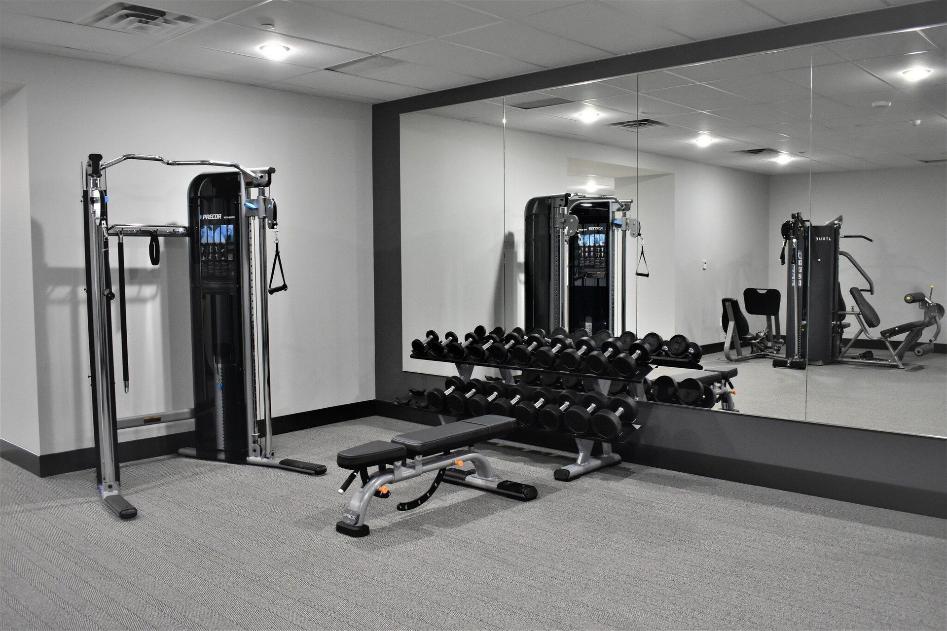 Indoor gym with bench, dumbbells, and a mirrored wall.