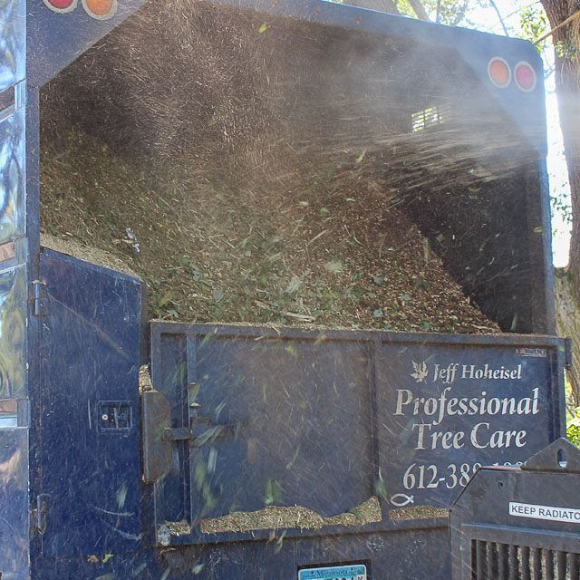 A truck with a sign that says professional tree care