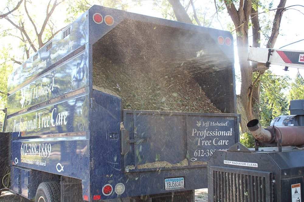 A blue truck with the word professional tree care on it