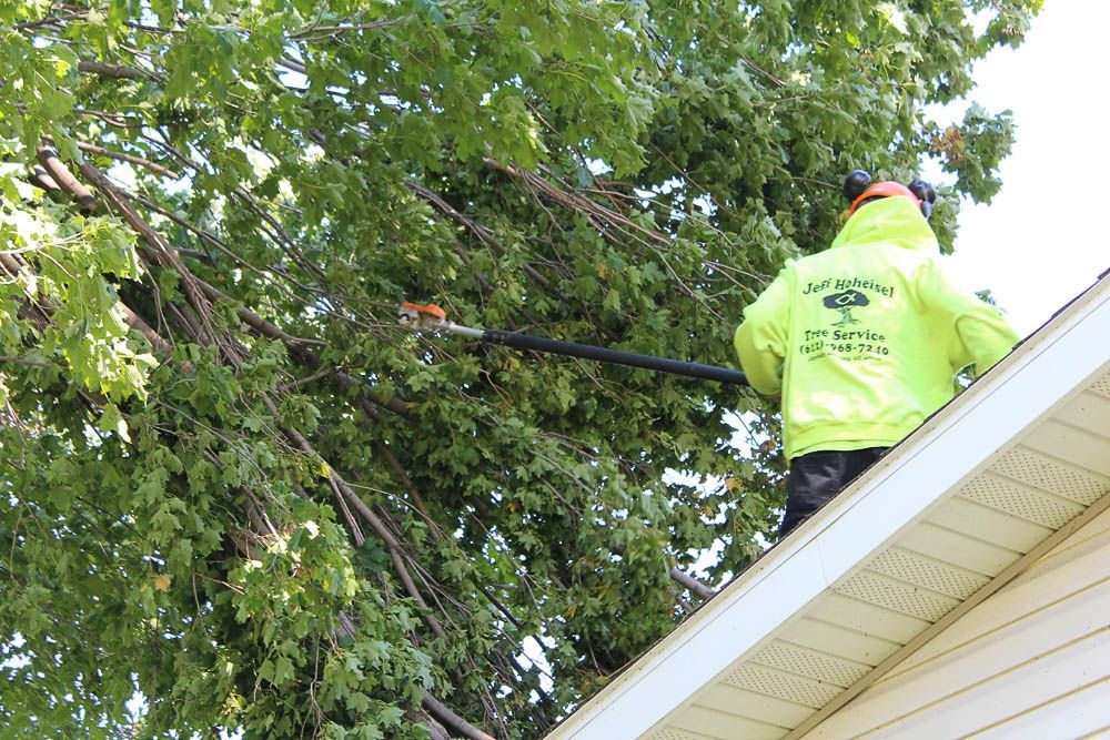 A man is standing on the roof of a house cutting a tree.